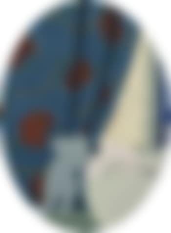 Behind the curtain (preview)