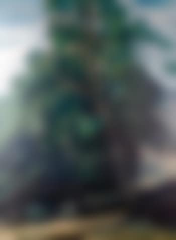 Moorend Fell from Starbotton (preview)