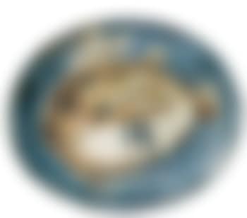Poisson fond bleu (AR # 171 - B # 26 - 27 - 28 - 29 VA - R # 64 VA) (preview)