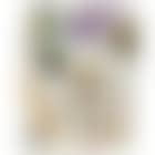 Perdu (preview)