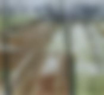 Blick in einen grossen Garten (preview)