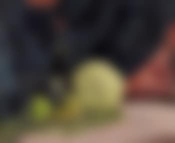 Still life with a bottle of wine (preview)