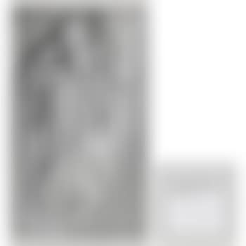 Autobiographical Stories (The Wedding Dress) (preview)