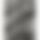 Landing pigeon, New York (preview)