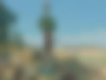Aloe in bloom (preview)