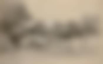 Marche oriental (preview)