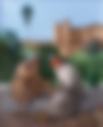 Dans le jardin des Oudaia, Rabat (preview)