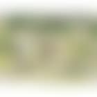 Trois faunes dansant dans un paysage by Pablo Picasso (preview)