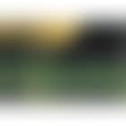 Gebirgstal (Mountain valley) (preview)