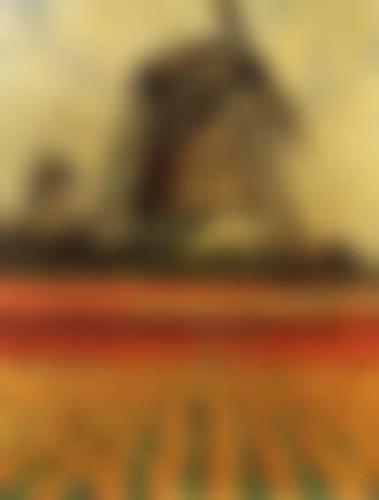 Tulip Fields with Windmill (preview)