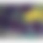Gelbe und violette Zinnien (Yellow and violet Zinnias) (preview)