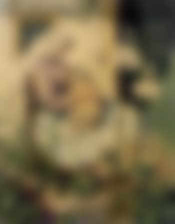 Woman in the Garden (preview)