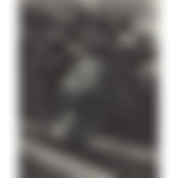 White angel breadline (preview)