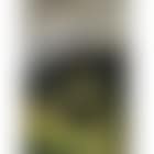 Landscape (preview)