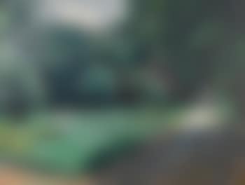 A child in a garden (preview)