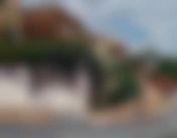 The white wall (preview)