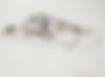 Near Montrose (preview)
