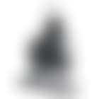 Asno (preview)