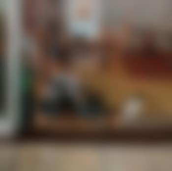 Interior with cat (preview)
