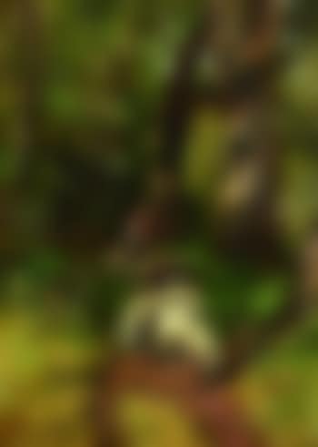 Waldlandschaft mit Schafherde (preview)