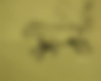 A Man and Dog (preview)