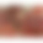 Red (preview)