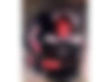 Bretonne aux roses (preview)