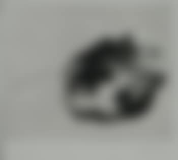 Sleeping Cat (preview)
