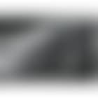 Untitled (Griffin) (preview)