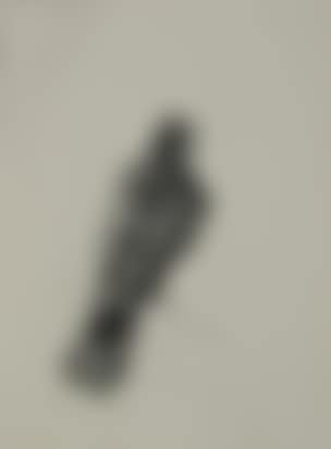 Bird (preview)