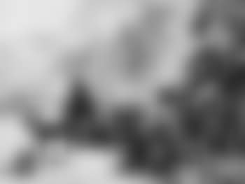 Winterlandschaft mit Pferdeschlitten (preview)