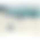 Chinese fairy tale: beach (preview)