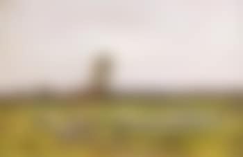 Paysage Normand (preview)