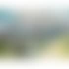 Campanulas on Mount Tagetas (preview)