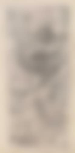 Studie zu Madame Eduarda (preview)