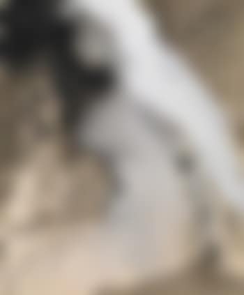Deux Femmes (preview)