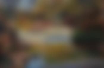 The Lawrence River in Autumn (preview)