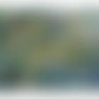 Palm Beach, Miami, Florida (preview)