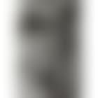 Untitled (Nude study, Lee Nevin) (preview)