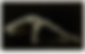 Perspective II (preview)