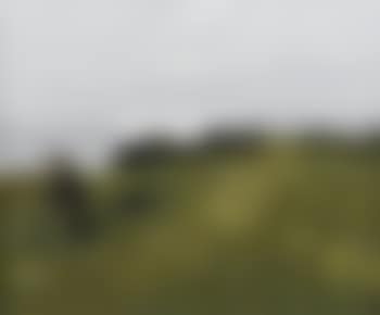 Farmer at Rhoscolyn, Anglesey (preview)