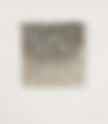 Weisses Phantom (preview)