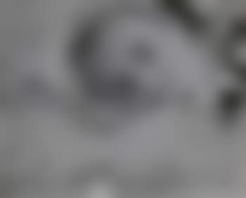 Ohne Titel  (Selbstportrait) (preview)