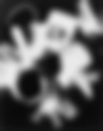 Ohne Titel (Photogramm) (preview)