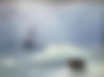 Marine (preview)