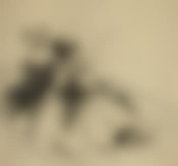 Study of two ladies (preview)