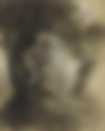 Study for sunset (preview)