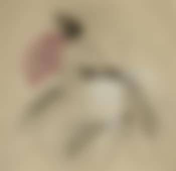 Study of lady with fan (preview)