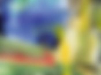 I. R. (preview)