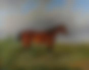 A chestnut hunter before a landscape (preview)